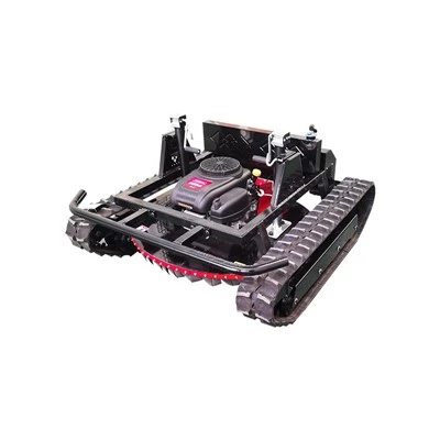 Koks yra roboto vejapjovės trūkumas?